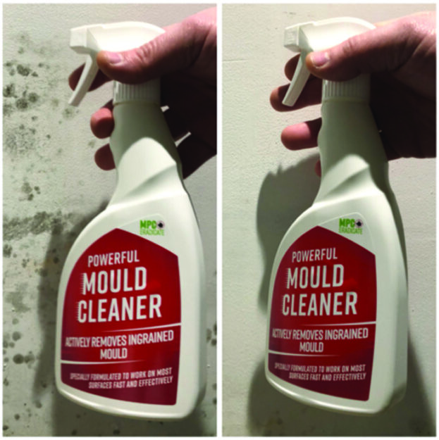 cleaning-4-1.jpg